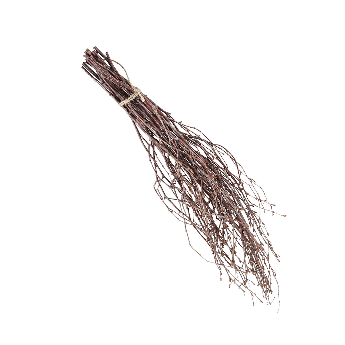 10 Buah Ranting Kayu Birch Ber - Craft Embellishments ulasan dan harga